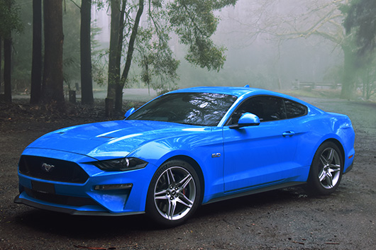 Image of a 2018 Blue Ford Mustang